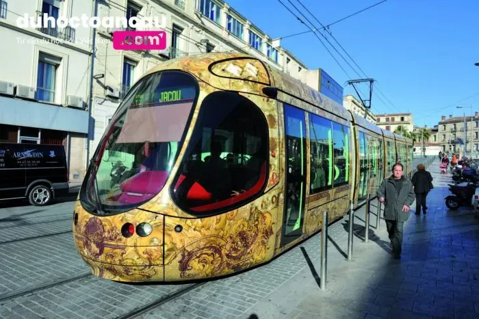 Du học bậc cử nhân Ngành Y Đại học Montpellier Pháp 2019