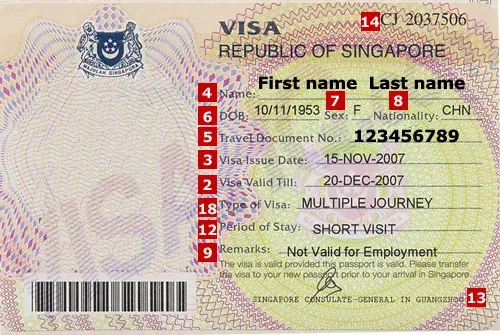 Du học Singapore có cần xin visa?