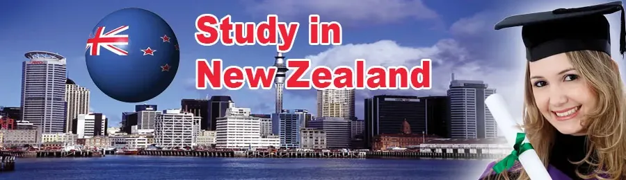 Học gì để có thể định cư tại New Zealand: Những ngành nghề khát nhân sự?