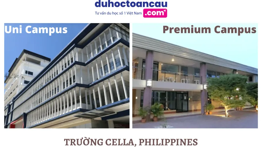 Anh ngữ Cella – Top những trường anh ngữ tốt nhất tại Phillipines