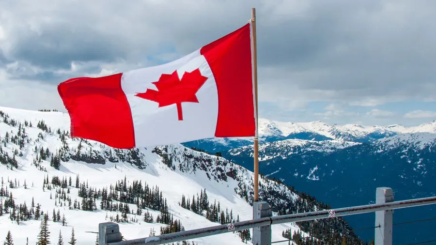 Kinh nghiệm lựa chọn chương trình co-op khi đi du học Canada