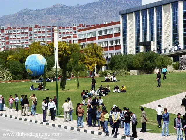 Du học Síp tại trường Đại Học Cận Đông
