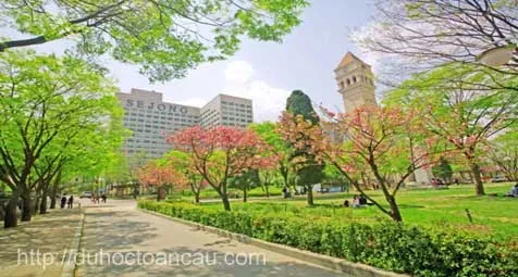 Học quản trị kinh doanh quốc tế tại Hàn Quốc