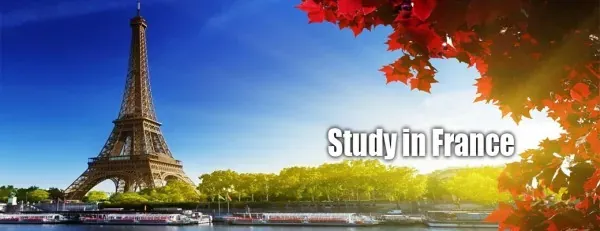 Có nên du học Pháp ngành Quản trị Kinh doanh?