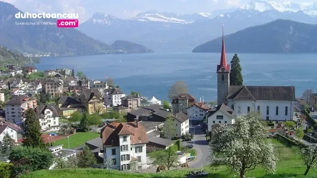 Học quản trị khách sạn Thụy Sĩ với chi phí thấp nhất tại trường SWISS IM&H