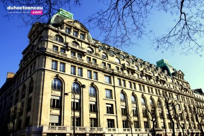 Cùng tìm hiểu về Viện đào tạo tiếng Pháp chuyên nghiệp và chất lượng Accord French Language School