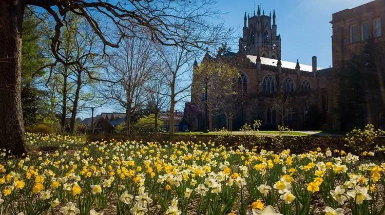 Du học Mỹ: Sewanee University - nét đẹp cổ kính mà hiện đại