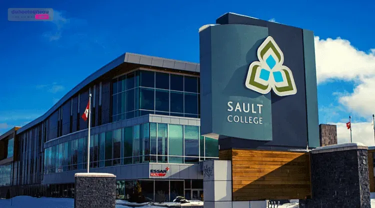 Sault College - trường cao đẳng công lập hàng đầu tại Ontario, Canada