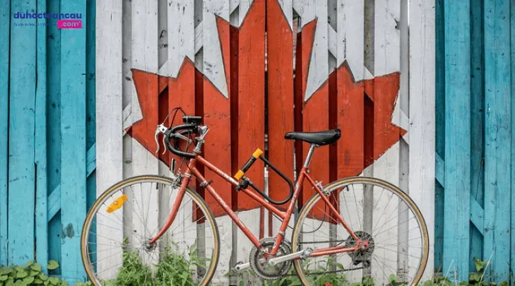 Đơn vị tư vấn du học Canada tốt nhất tại Hà Nội