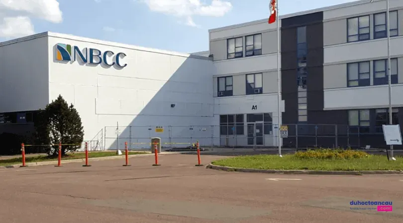 Du học Canada - chương trình siêu tiết kiệm tại trường Cao đẳng cộng đồng New Brunswick