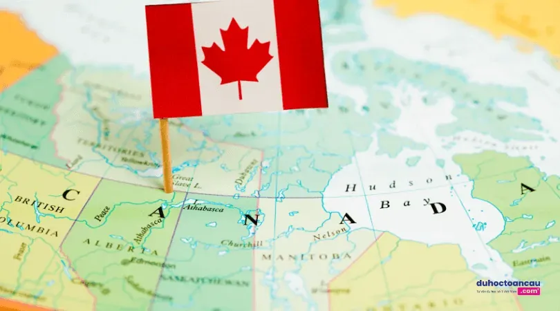 Chuyên viên tư vấn du học Canada uy tín phải có Chứng chỉ CCEA
