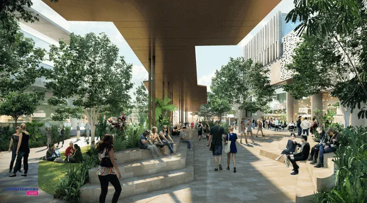 3 chương trình học cực kì hấp dẫn tại James Cook University Brisbane