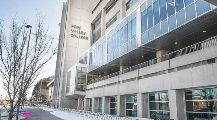 Danh sách 8 trường học hàng đầu Canada tại Ngày hội du học toàn cầu số 1 Việt Nam