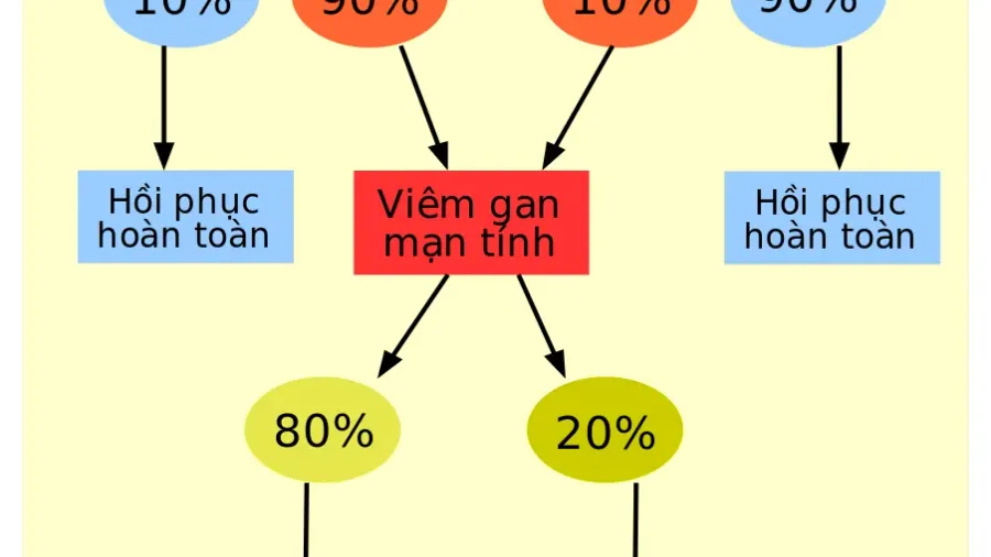 Bị viêm gan B có đi du học Mỹ được không?